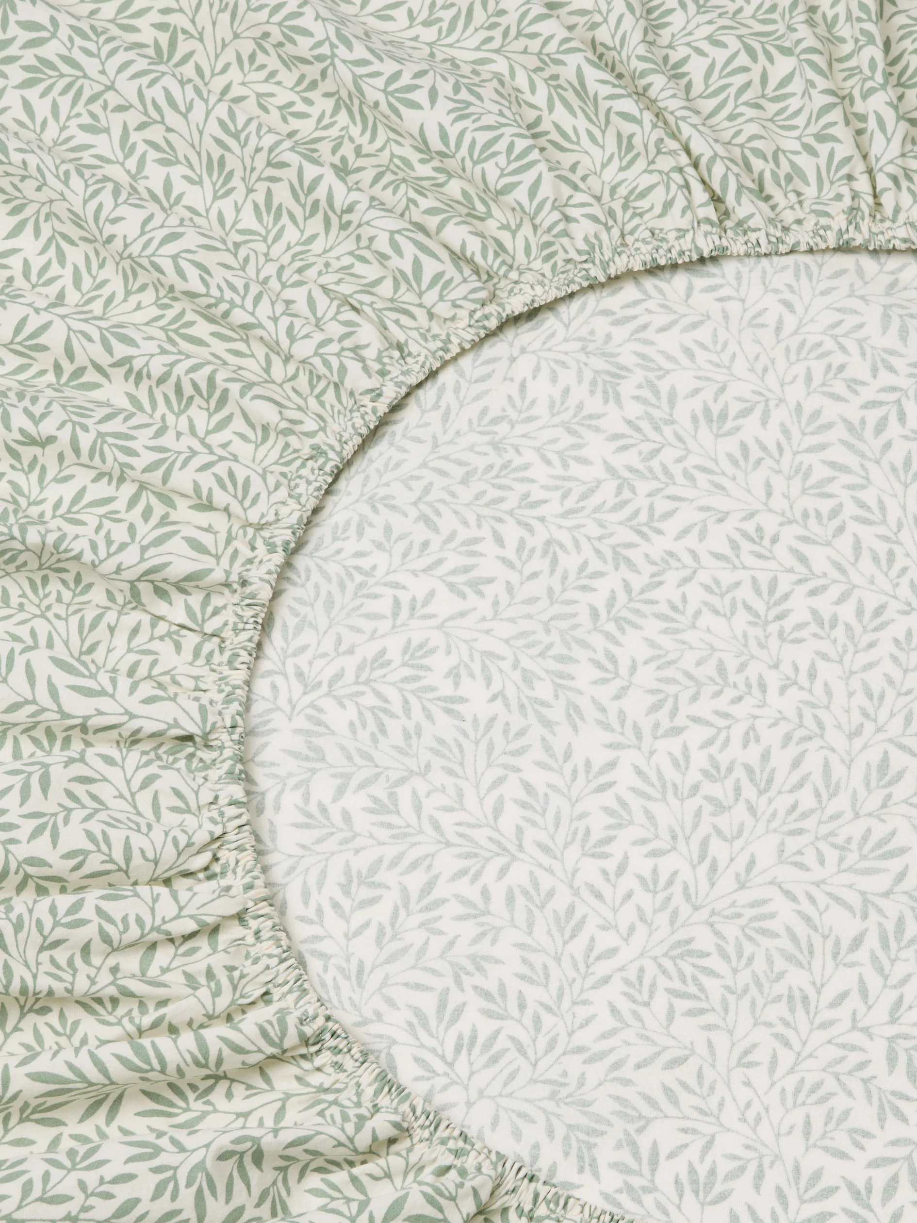 Mellow Green Standen Cotton Fitted Sheet - Image 2